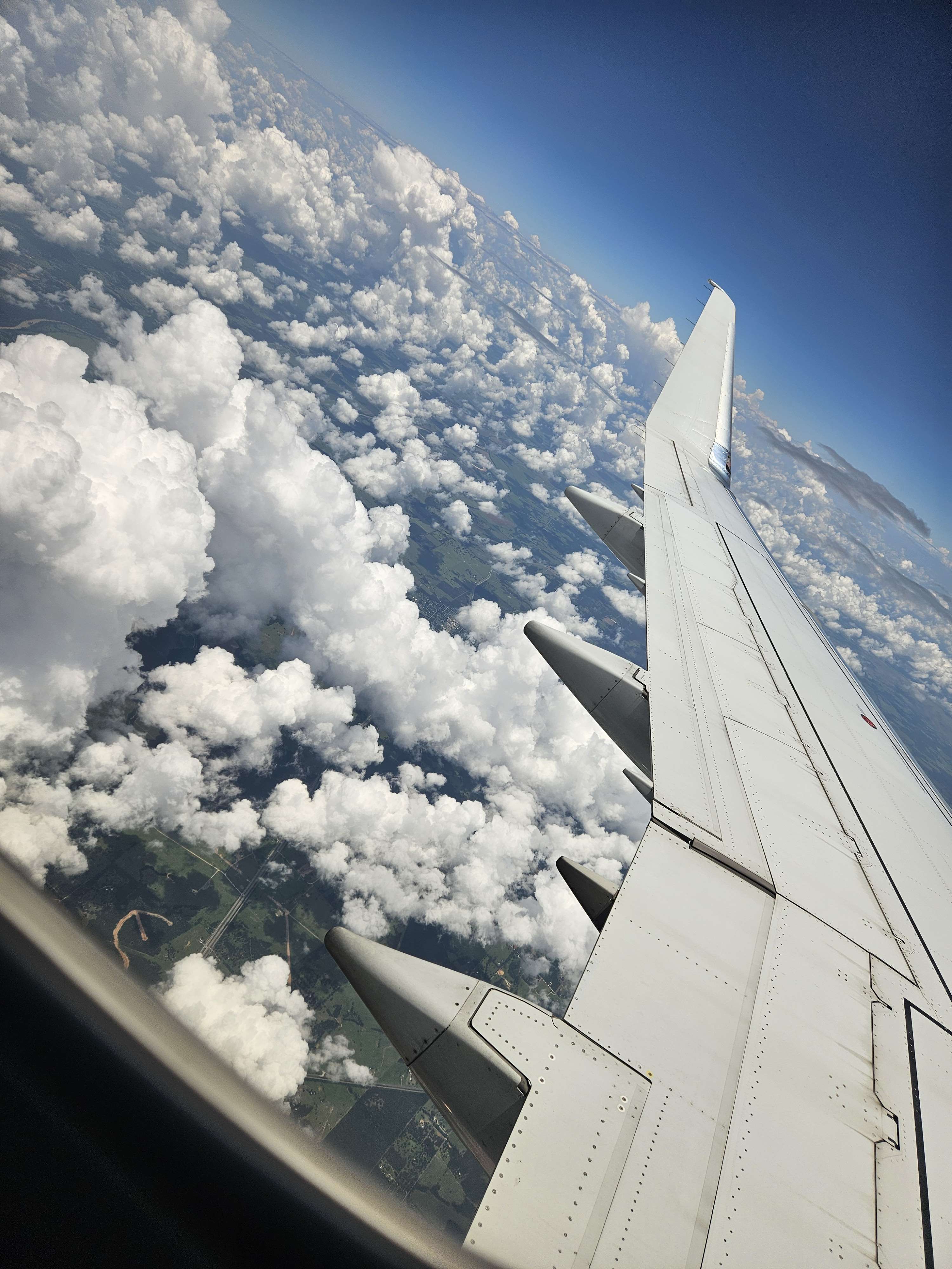 flight